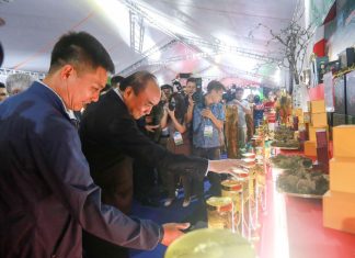 Chủ tịch nước: Sâm Lai Châu, sâm Ngọc Linh… cần xứng danh ‘quốc bảo’ Chủ tịch nước: Sâm Lai Châu, sâm Ngọc Linh... cần xứng danh 'quốc bảo'