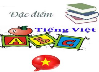 Đặc điểm tiếng Việt