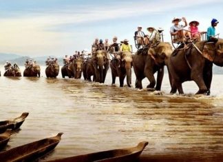 Phát triển Tây Nguyên nhanh, bền vững, giàu bản sắc văn hóa