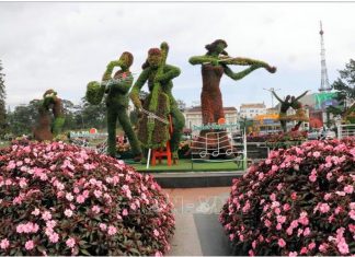 Festival hoa Đà Lạt 2022 sẽ kéo dài hết tháng 12 Festival hoa Đà Lạt 2022 sẽ kéo dài hết tháng 12