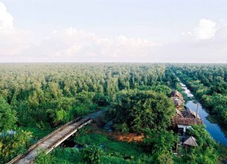 Liên minh Rừng ngập mặn vì khí hậu