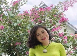 Việt Nam ở hải ngoại Lời văn nghệ thuật trong một số truyện ngắn Việt Nam ở hải ngoại – Tác giả: Đỗ Thị Phương Lan Việt Nam ở hải ngoại Lời văn nghệ thuật trong một số truyện ngắn Việt Nam ở hải ngoại - Tác giả: Đỗ Thị Phương Lan
