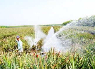 Xuôi dòng Vàm Cỏ Đông Xuôi dòng Vàm Cỏ Đông