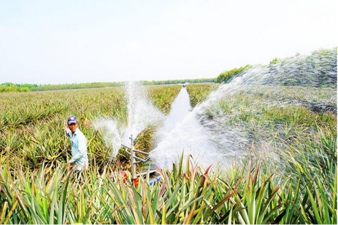 Xuôi dòng Vàm Cỏ Đông - VSD Địa Lý Việt Nam - vansudia.net Xuôi dòng Vàm Cỏ Đông