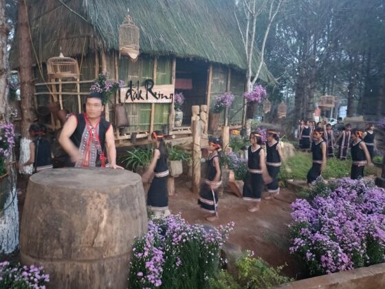 Biểu diễn m&uacute;a xoang ở đồi th&ocirc;ng đường H&ugrave;ng Vương, thị trấn Măng Đen