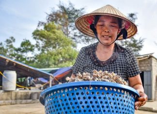 Thứ đặc sản ở quê xưa rẻ như cho, nay là “mỏ vàng” dân đi bắt kiếm nửa triệu/ngày Trên chợ mạng, dắt được làm sạch, đóng túi cẩn thận và được bán với giá lên tới 90.000 đồng/kg