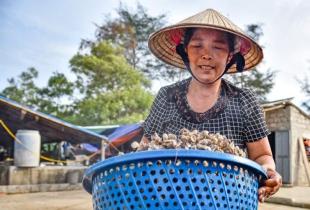 Tr&ecirc;n chợ mạng, dắt được l&agrave;m sạch, đ&oacute;ng t&uacute;i cẩn thận v&agrave; được b&aacute;n với gi&aacute; l&ecirc;n tới 90.000 đồng/kg