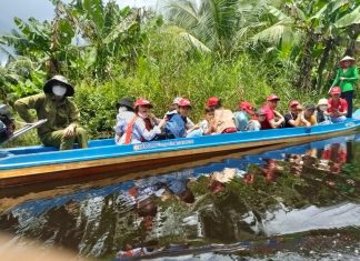 Đi vỏ lãi khám phá rừng Cà Mau Đi vỏ lãi khám phá rừng Cà Mau