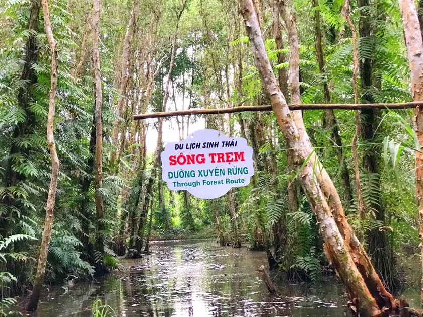 Du khách tham quan, trải nghiệm xuyên rừng bằng vỏ lãi tại khu Khu du lịch sinh thái Sông Trẹm (thuộc xã Khánh Thuận, huyện U Minh, tỉnh Cà Mau).