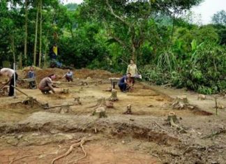 Cấp phép khai quật khảo cổ tại di chỉ Thiện Kế, tỉnh Tuyên Quang