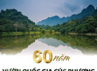 Cúc Phương – Vườn quốc gia đầu tiên của Việt Nam Cúc Phương - Vườn quốc gia đầu tiên của Việt Nam
