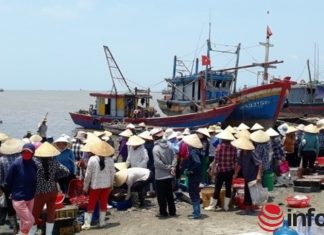 Xã có mật độ dân số cao nhất cả nước phát triển kinh tế biển Xã có mật độ dân số cao nhất cả nước phát triển kinh tế biển