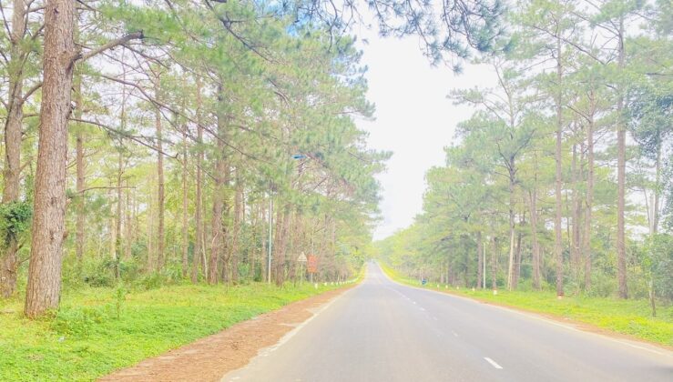 Đường v&agrave;o thị trấn Măng Đen, huyện Kon Pl&ocirc;ng, tỉnh Kon Tum.