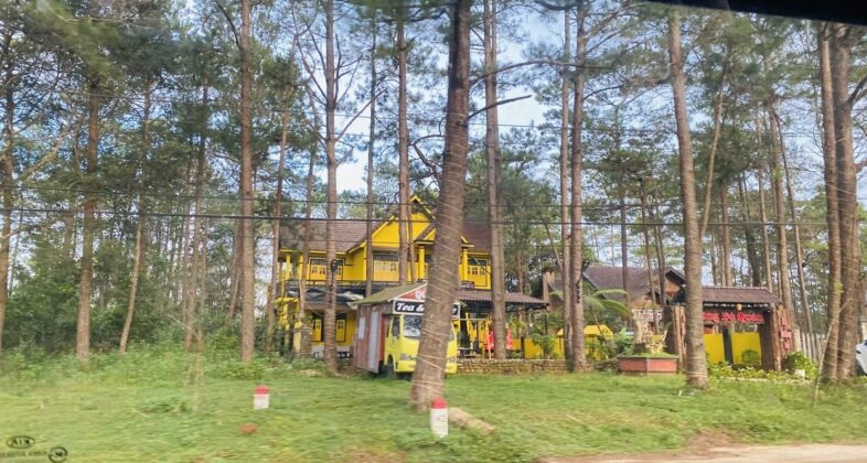 Một g&oacute;c Măng Đen, phi&ecirc;n bản Đ&agrave; Lạt ở Bắc T&acirc;y Nguy&ecirc;n.