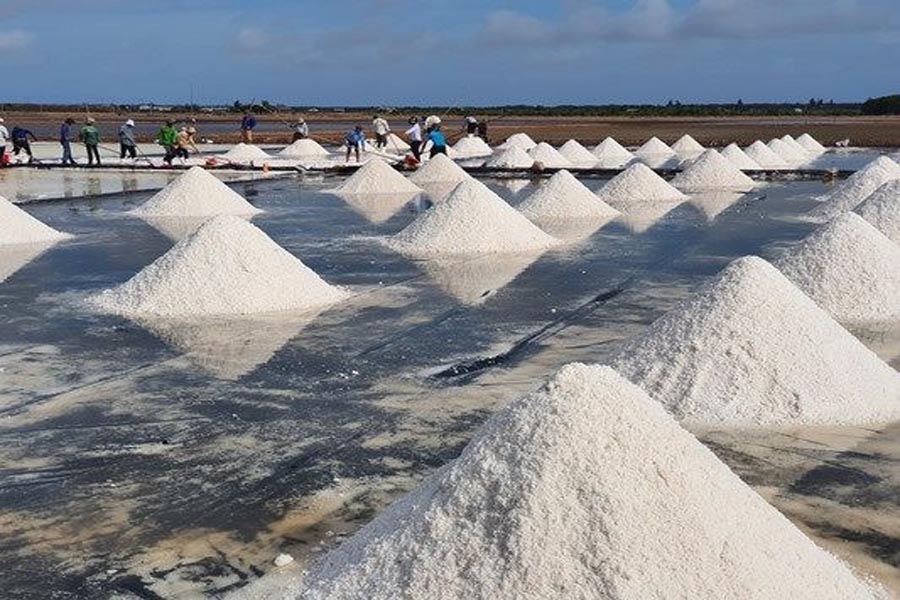 Bạc Liêu: Gỡ khó cho hạt muối Đông Hải