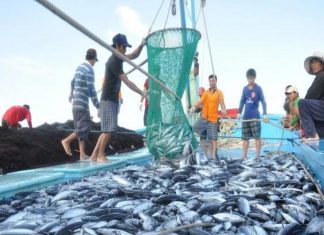 Một số kết quả trong triển khai thực hiện Nghị quyết 36 về phát triển bền vững kinh tế biển Một số kết quả trong triển khai thực hiện Nghị quyết 36 về phát triển bền vững kinh tế biển