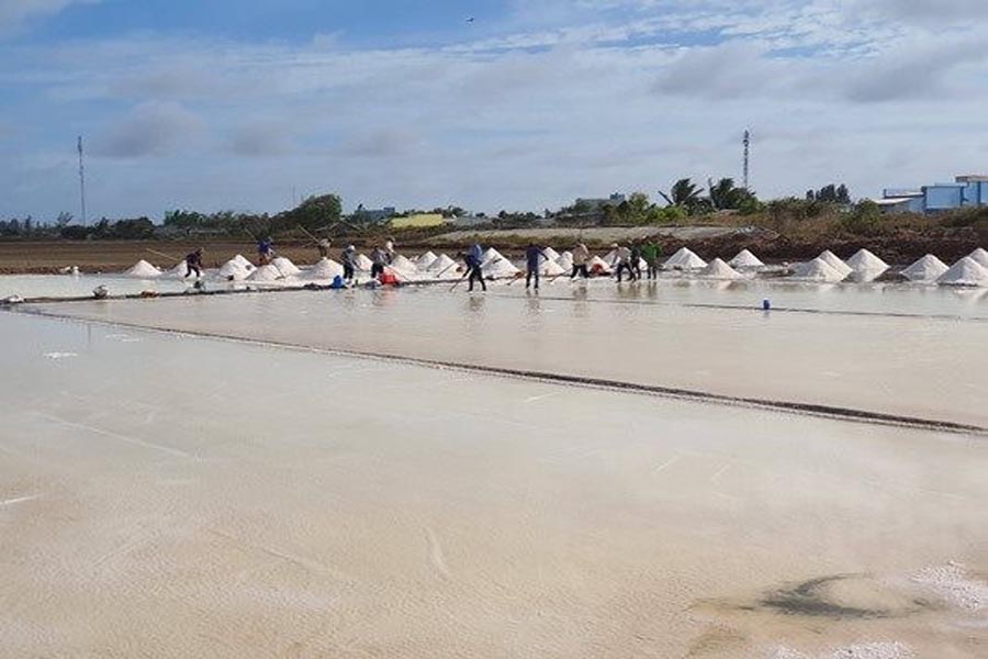 Nghề sản xuất muối vô cùng cơ cực