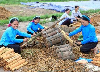 Quảng Ninh: Đẩy mạnh thực hiện Chương trình mục tiêu quốc gia phát triển kinh tế – xã hội vùng đồng bào DTTS và miền núi Quảng Ninh: Đẩy mạnh thực hiện Chương trình mục tiêu quốc gia phát triển kinh tế - xã hội vùng đồng bào DTTS và miền núi