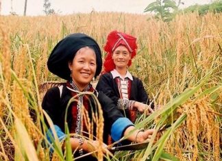 Nỗ lực không ngừng thúc đẩy bảo vệ quyền con người Những thành tựu quan trọng về xóa đói giảm nghèo là minh chứng cho nỗ lực không ngừng của Việt Nam trong đảm bảo quyền con người