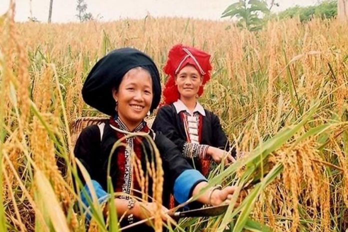 Những thành tựu quan trọng về xóa đói giảm nghèo là minh chứng cho nỗ lực không ngừng của Việt Nam trong đảm bảo quyền con người Những thành tựu quan trọng về xóa đói giảm nghèo là minh chứng cho nỗ lực không ngừng của Việt Nam trong đảm bảo quyền con người