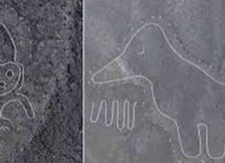 Phát hiện mới hơn 100 hình vẽ cổ đại tại đồng bằng Nazca ở Peru