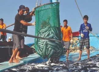 Sau lễ mừng của ngành thủy sản!