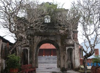 Về đất cổ Hoa Lộc