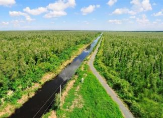 HSBC: Phát triển thị trường carbon tự nguyện để sớm đạt mục tiêu phát thải