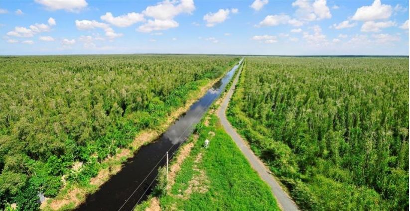 HSBC: Phát triển thị trường carbon tự nguyện để sớm đạt mục tiêu phát thải