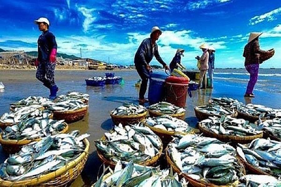 Xuất khẩu thủy sản Việt Nam dự kiến sẽ cán đích 11 tỷ USD