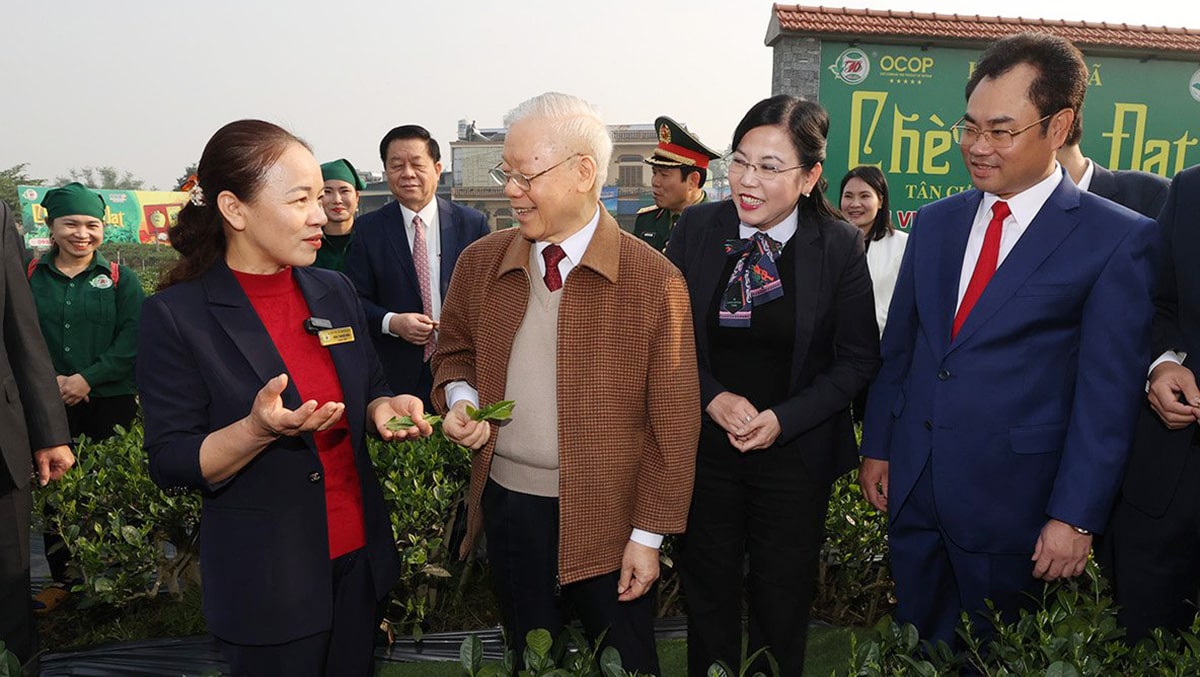 Tổng Bí thư Nguyễn Phú Trọng thăm vườn chè của Hợp tác xã Hảo Đạt, thành phố Thái Nguyên. Ảnh: Trí Dũng
