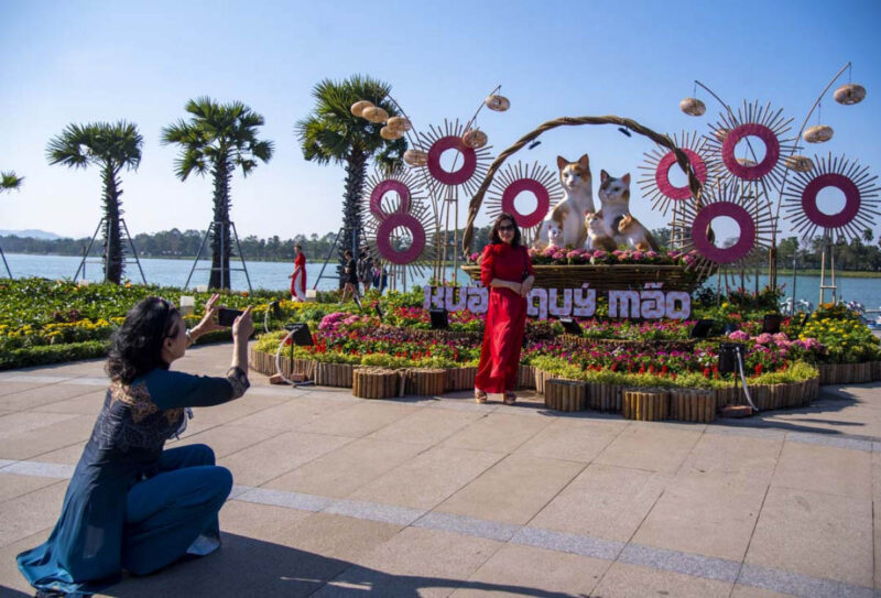 Ngay khi gia đình mèo xuất hiện ở trung tâm thành phố Huế, hàng trăm người đã tới dạo chơi, chụp ảnh kỷ niệm và đăng lên mạng xã hội để "sánh vai" với các biểu tượng mèo trên cả nước