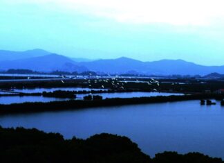 Đất lành chim đậu Hiện nay số lượng cò bay về sinh sống trong khu vực ngày càng nhiều, điều này cho thấy các chính sách về cấm săn bắt chim trời, bảo vệ môi trường của Quảng Ninh đang phát huy hiệu quả.