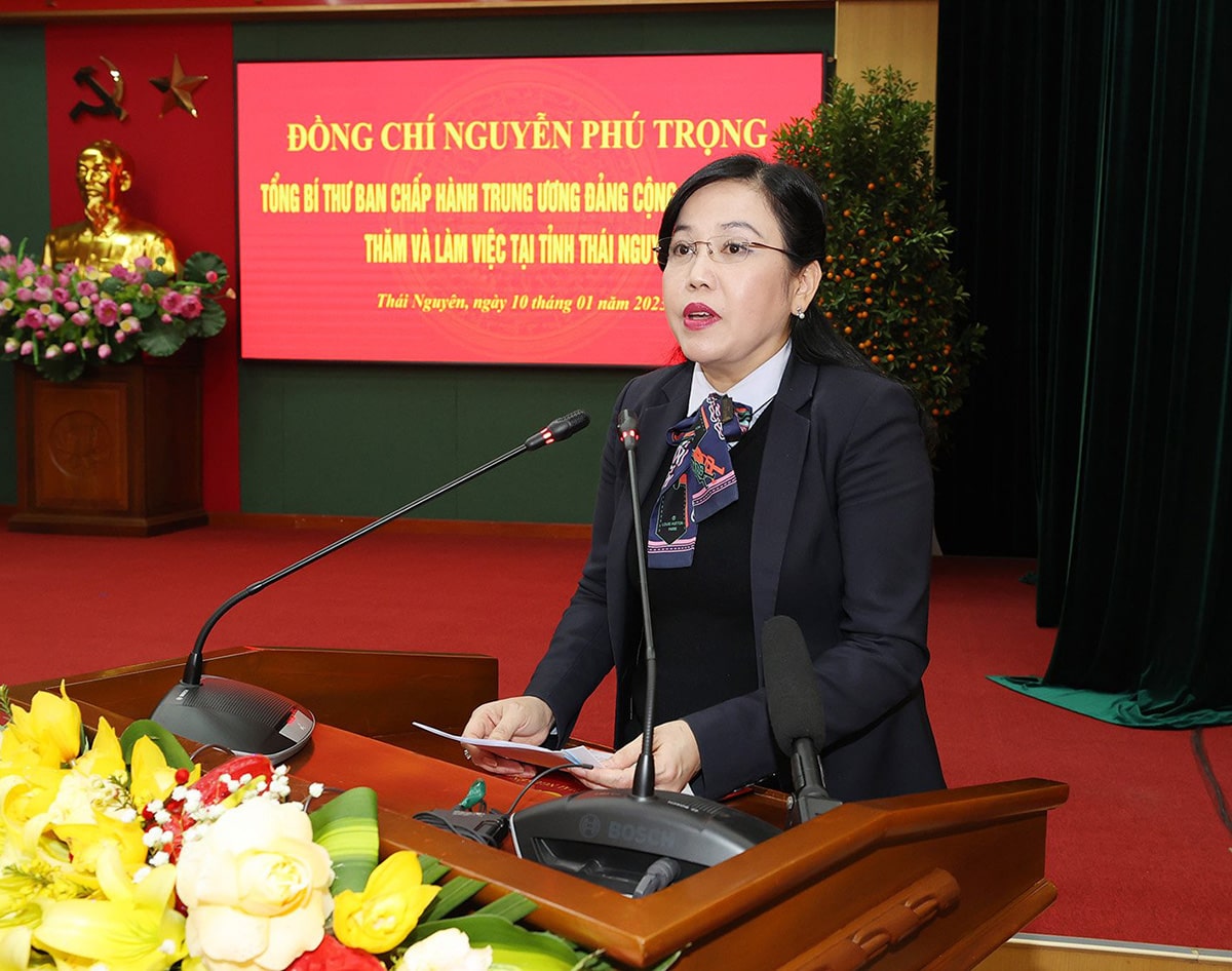 Bí thư Tỉnh ủy, Trưởng đoàn ĐBQH tỉnh Nguyễn Thanh Hải phát biểu. Ảnh: Trí Dũng