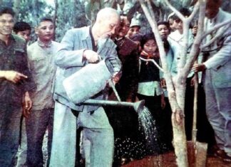 Mùa Xuân nhớ Bác: Suy ngẫm về Tết Trồng cây và sự nghiệp Trồng người Mùa Xuân nhớ Bác: Suy ngẫm về Tết Trồng cây và sự nghiệp Trồng người