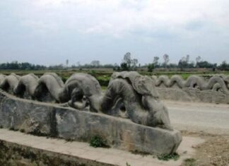 Đôi Rồng đá mất đầu nằm ở giữa trung tâm Thành Nhà Hồ