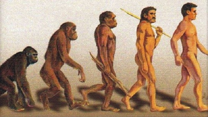 Homo sapien 3 min - Homo sapiens: đặc điểm, sự tiến hóa và chế độ ăn uống