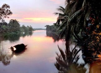 Do có hệ thống sông ngòi dày đặc nên trong nhiều nhà dân ở Hải Dương luôn có thuyền làm phương tiện vận chuyển. Trong ảnh: Người dân xã Kim Anh (Kim Thành) dùng thuyền đánh cá.