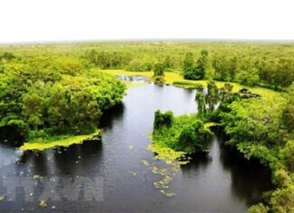 Vườn quốc gia U Minh Thượng – khu rừng độc đáo, quý hiếm trên thế giới Vườn quốc gia U Minh Thượng - khu rừng độc đáo, quý hiếm trên thế giới