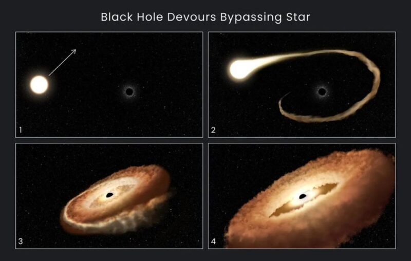 Quá trình hố đen "ăn thịt" ngôi sao. 
