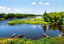 Sông Thương - Dòng sông thi ca - Tác giả: Đinh Tiến Hải