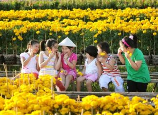Tết yêu thương – Tác giả: Hà Kim Quy Tết yêu thương - Tác giả: Hà Kim Quy