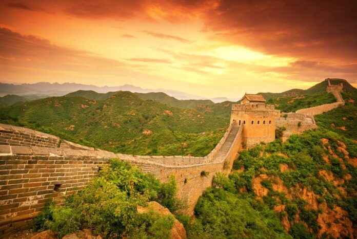 Tìm thấy loài cây 'quen thuộc' được dùng để xây dựng Vạn Lý Trường Thành Tìm thấy loài cây 'quen thuộc' được dùng để xây dựng Vạn Lý Trường Thành