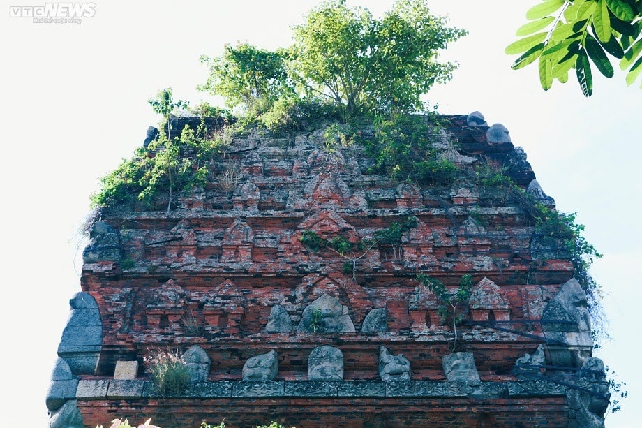 2 - Khám phá bí ẩn của 4 tháp Chăm nghìn năm tuổi ở Bình Định
