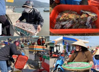 Ngư dân Hà Tĩnh thắng lớn những chuyến biển đầu năm Ngư dân Hà Tĩnh thắng lớn những chuyến biển đầu năm
