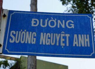 Sương Nguyệt Anh – nữ chủ bút đầu tiên của báo chí Việt Nam Bảng tên đường Sương Nguyệt Anh tại quận 1, TP.HCM. (Ảnh: VnExpress)