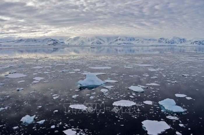 Bang troi tai Vinh Chiriguano min - Băng biển ở Nam Cực thấp nhất trong gần 45 năm