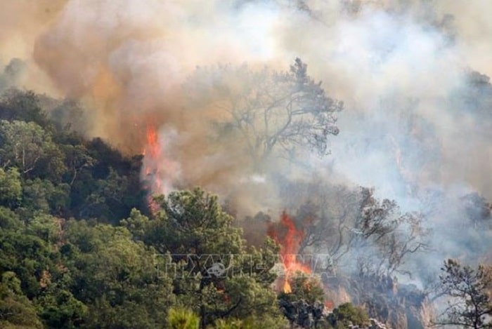 Cuba da ghi nhan 284 vu chay rung trong nam 2022 min - Gió mạnh cản trở nỗ lực kiểm soát cháy rừng tại Cuba