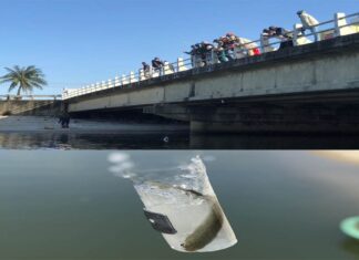 Độc, lạ cách câu loài cá không thể bơi ngược ở Đà Nẵng Độc, lạ cách câu loài cá không thể bơi ngược ở Đà Nẵng