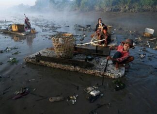 Giảm ô nhiễm giúp chống “siêu vi khuẩn”
